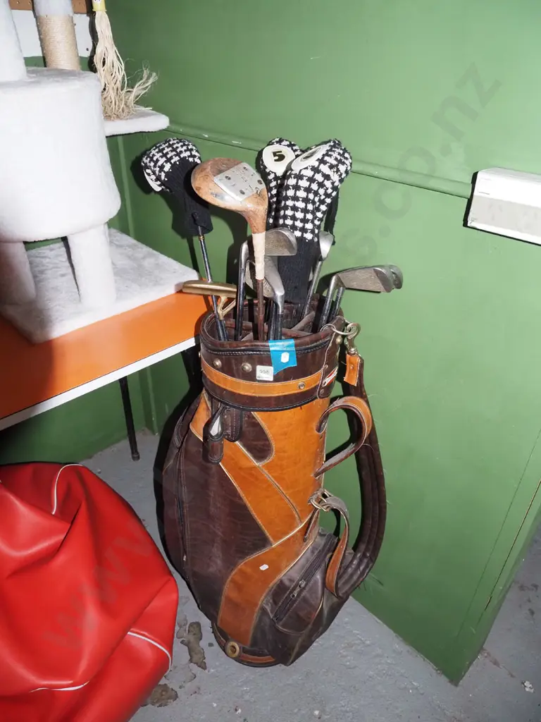 golf clubs and bag Image 1++