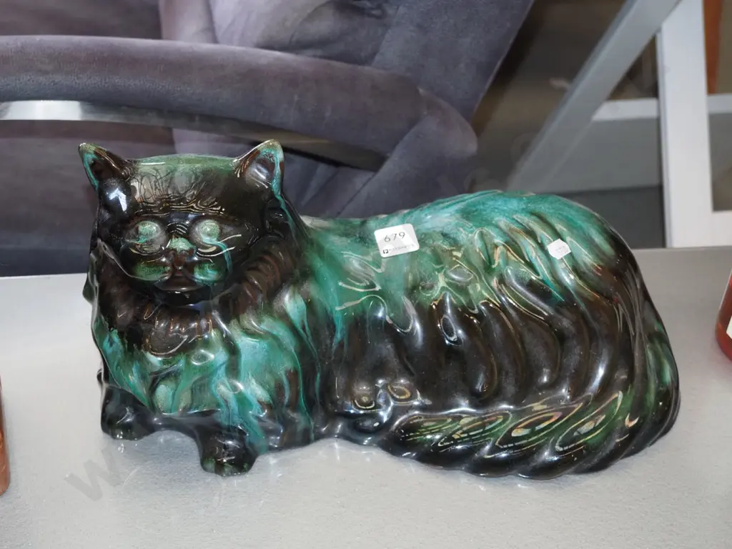 Blue Mountain cat H400 Image 1++