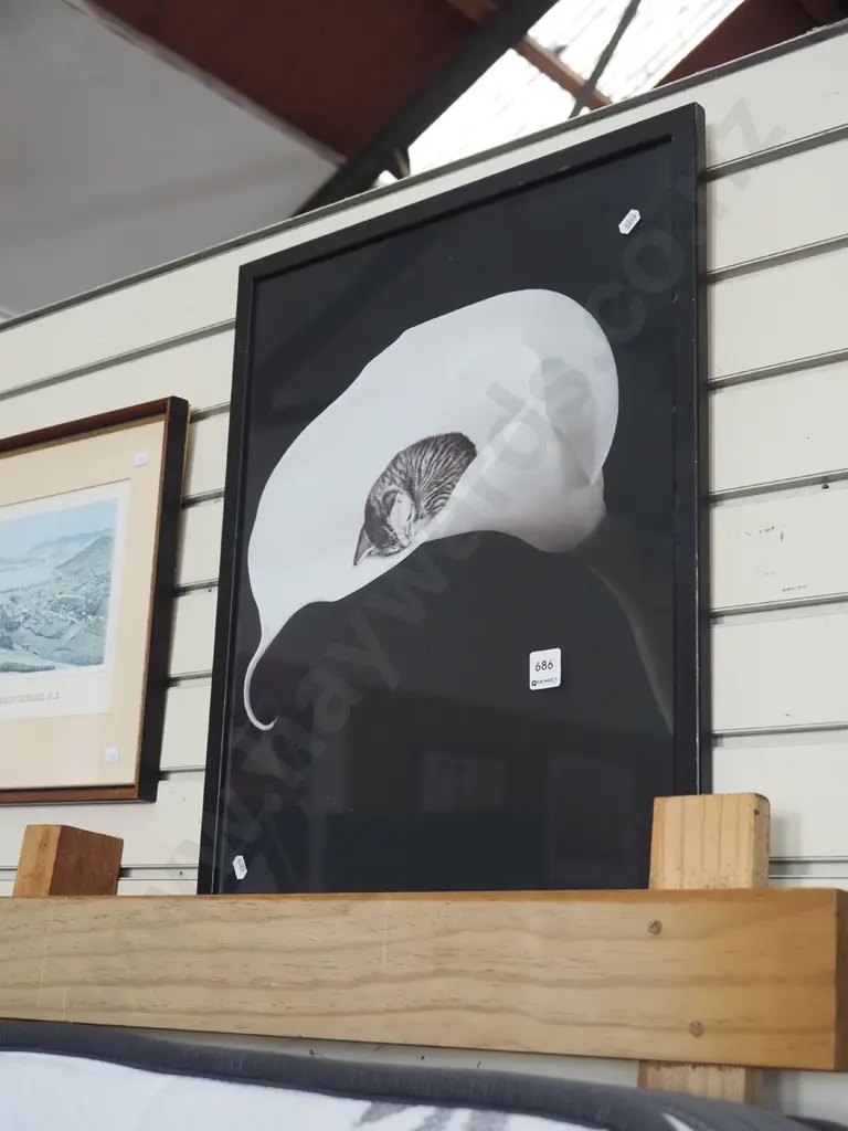 framed photo print - kitten and lily Image 1++