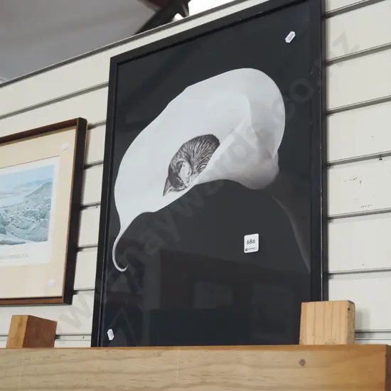 framed photo print - kitten and lily