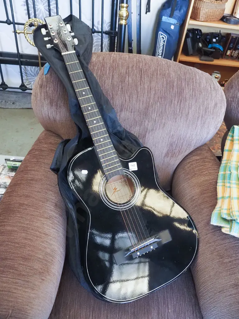 Z Power acoustic guitar and carry case Image 1++