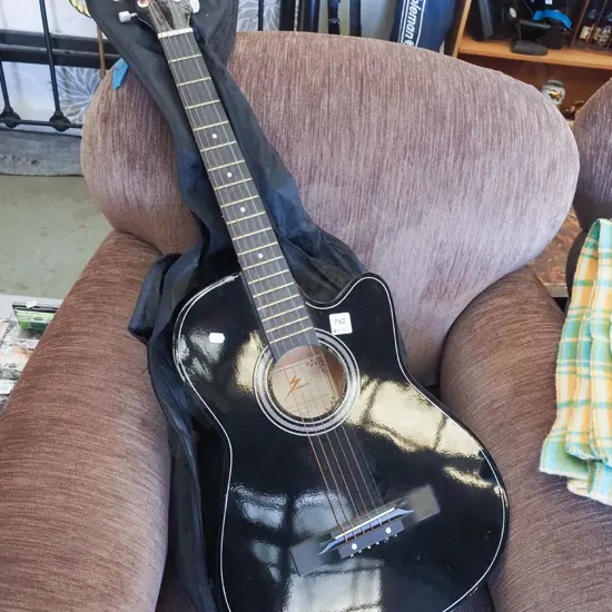 Z Power acoustic guitar and carry case