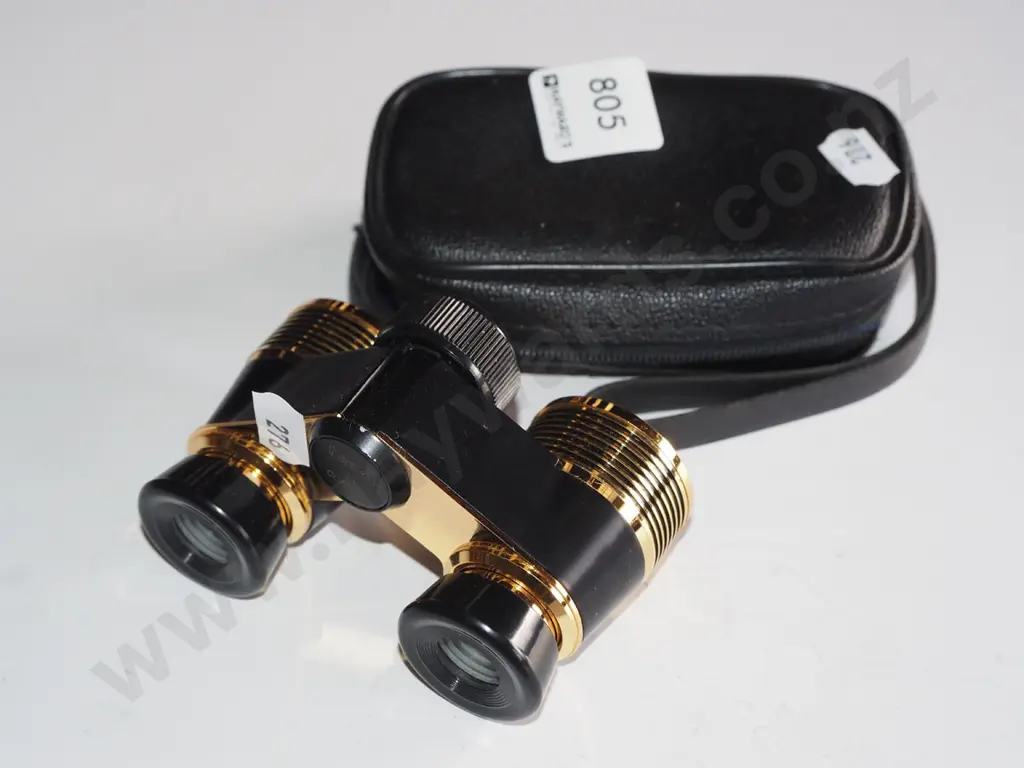 contemporary opera glasses & case Image 1++