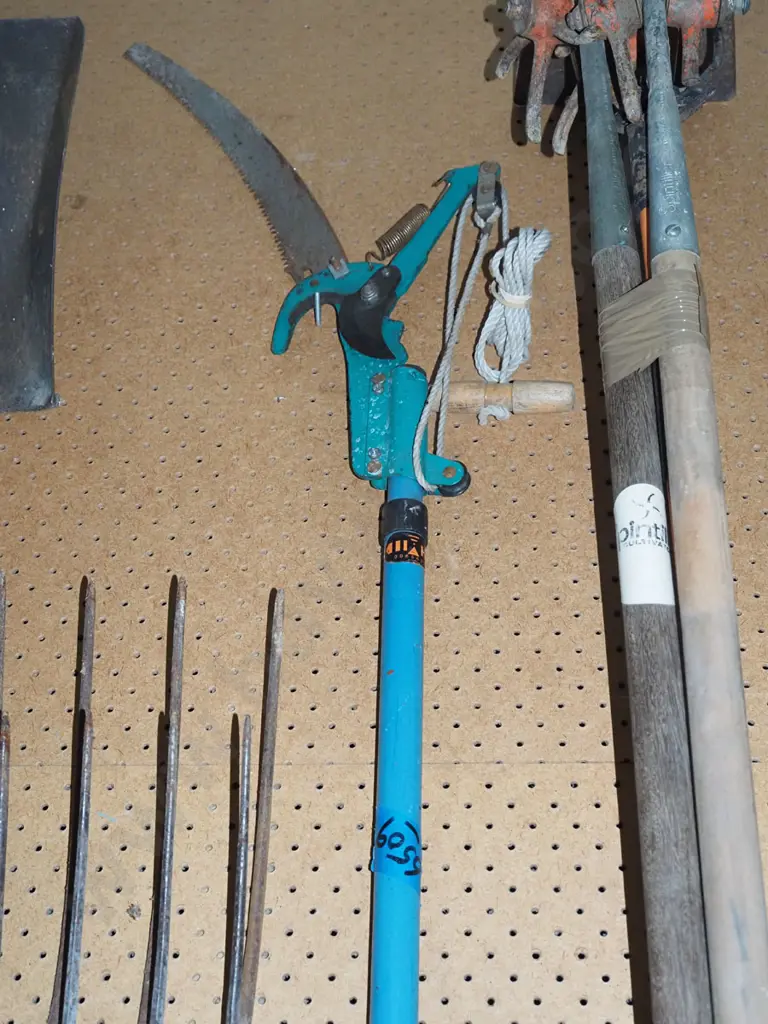 pole pruner Image 1++