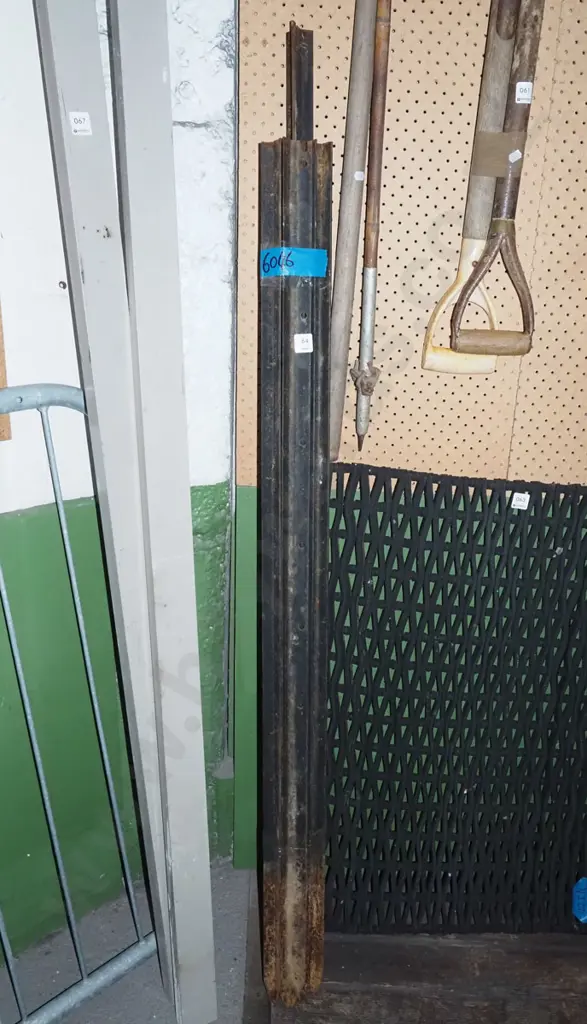 bundle of warratahs Image 1++