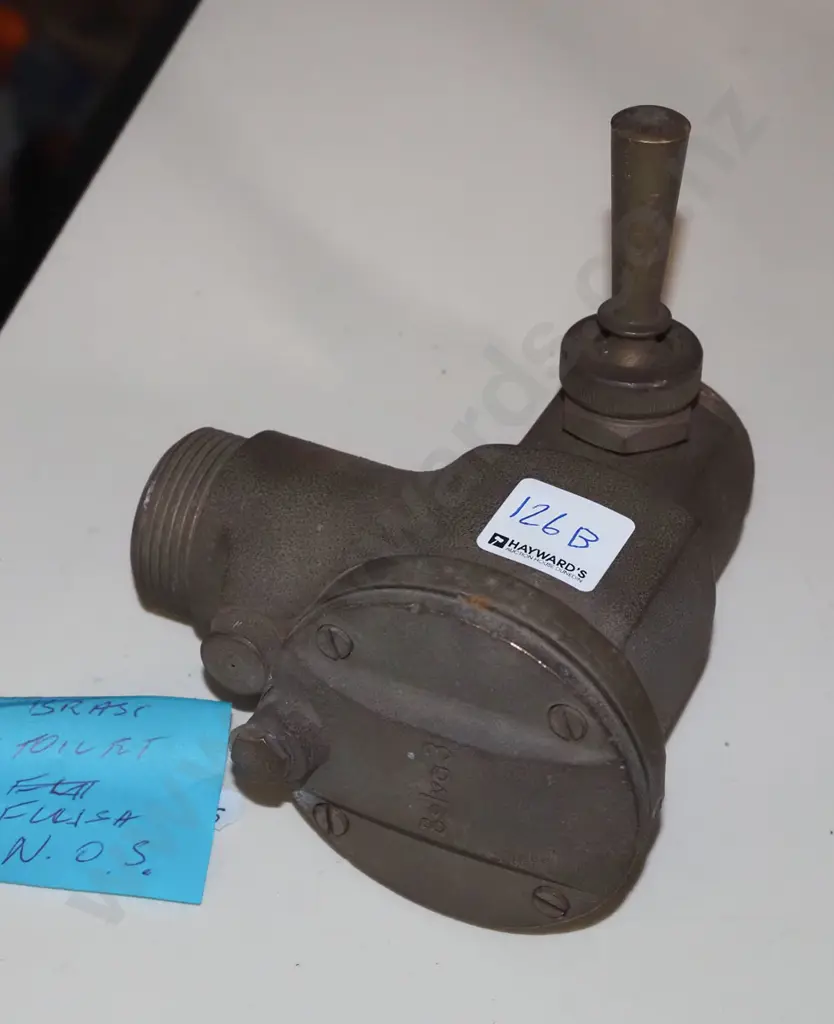 Belva 3 brass toilet flush Image 1++