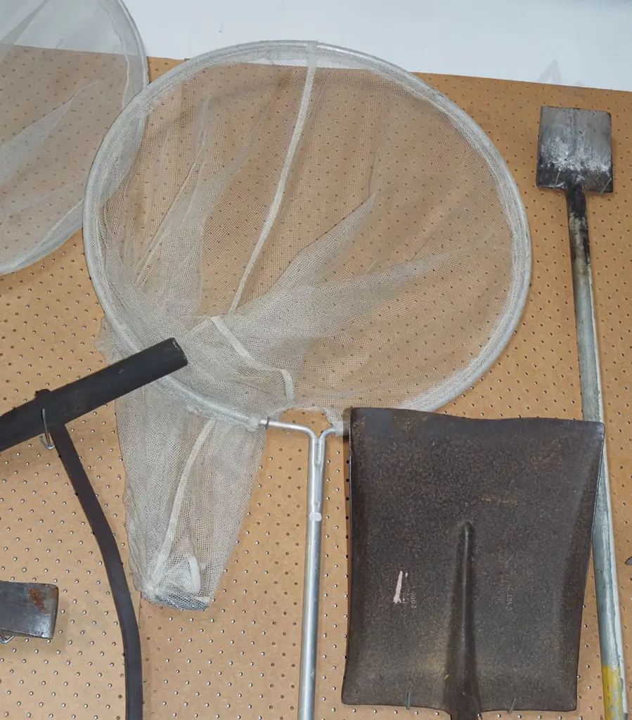 whitebait net Image 1++