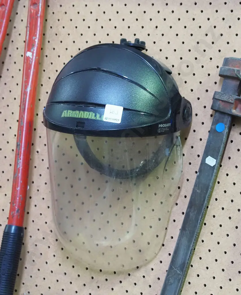 Armadillo plsstic face shield Image 1++