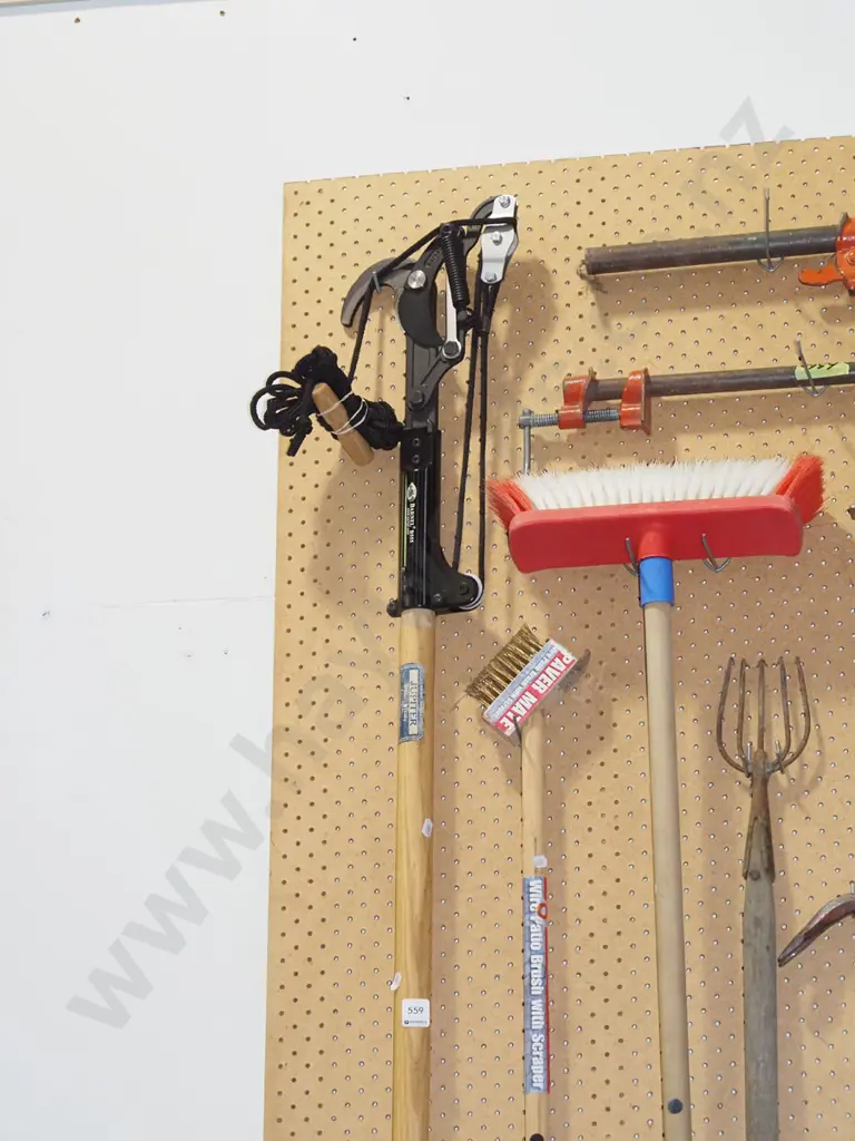 pole pruner Image 1++