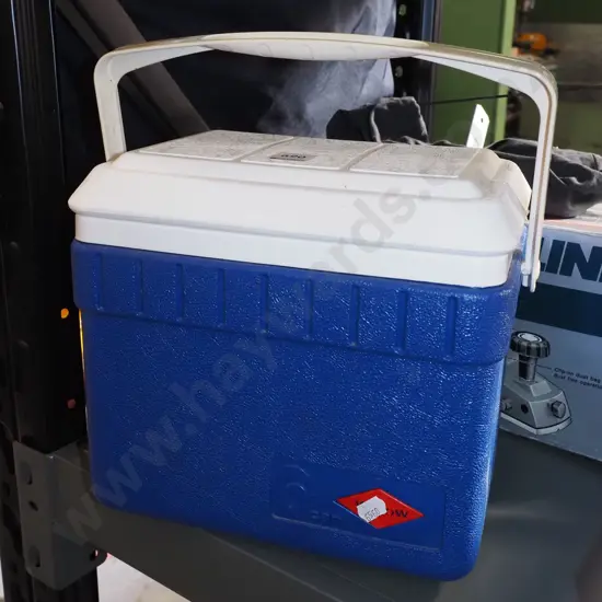 small 6 can chilly bin