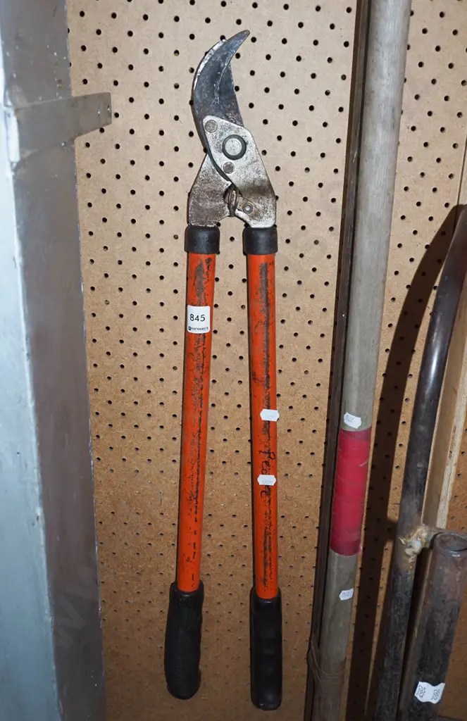 garden loppers Image 1++