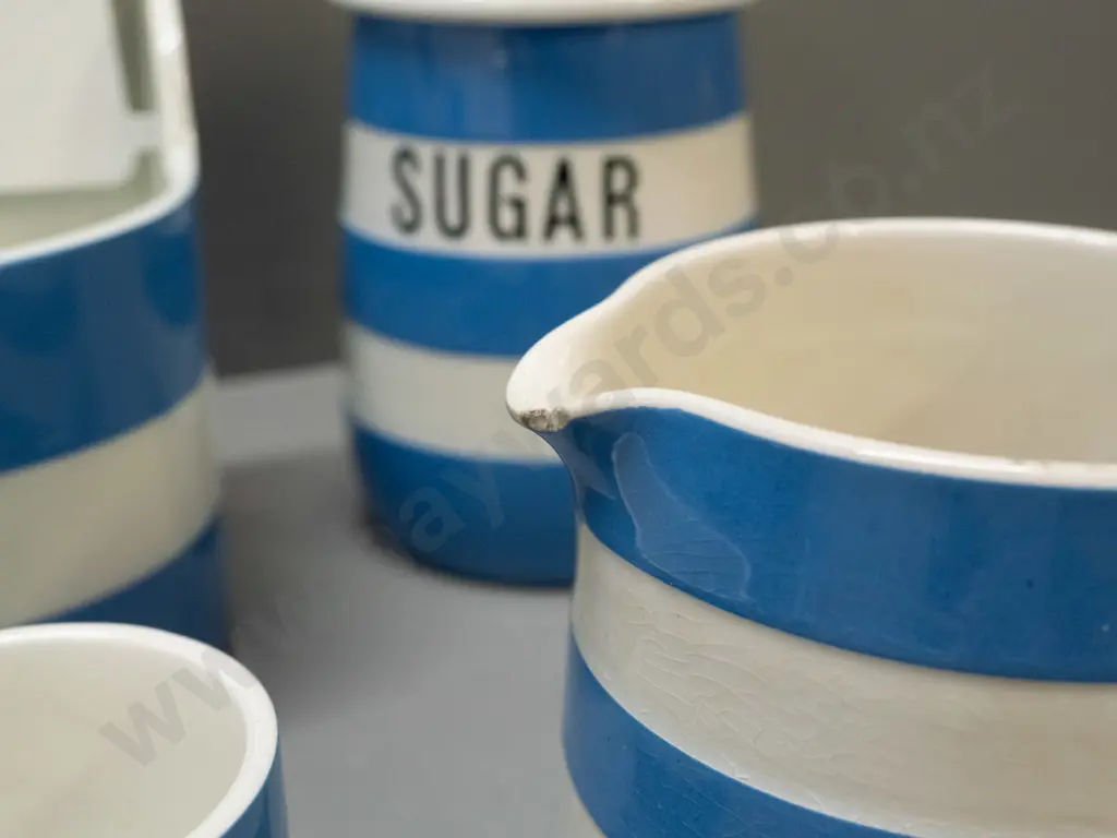 TG Greene blue & white Cornish kitchen ware items - wall mount salt, sugar caster, salt & pepper, lidded butter dish Image 1++