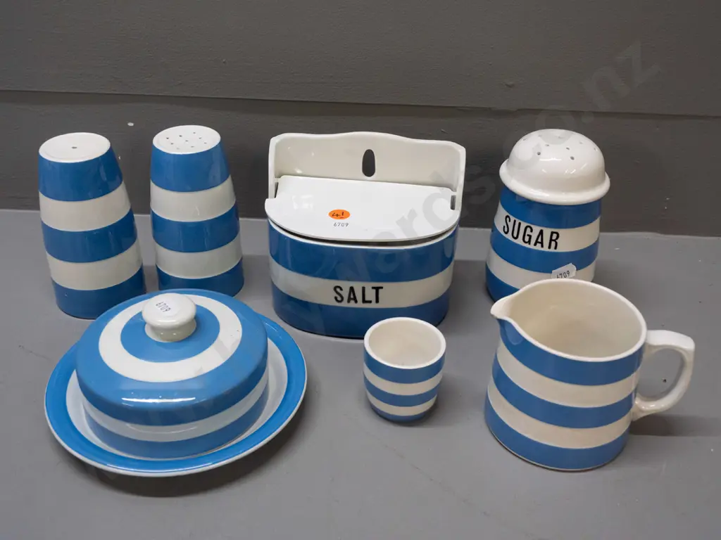 TG Greene blue & white Cornish kitchen ware items - wall mount salt, sugar caster, salt & pepper, lidded butter dish Image 1++