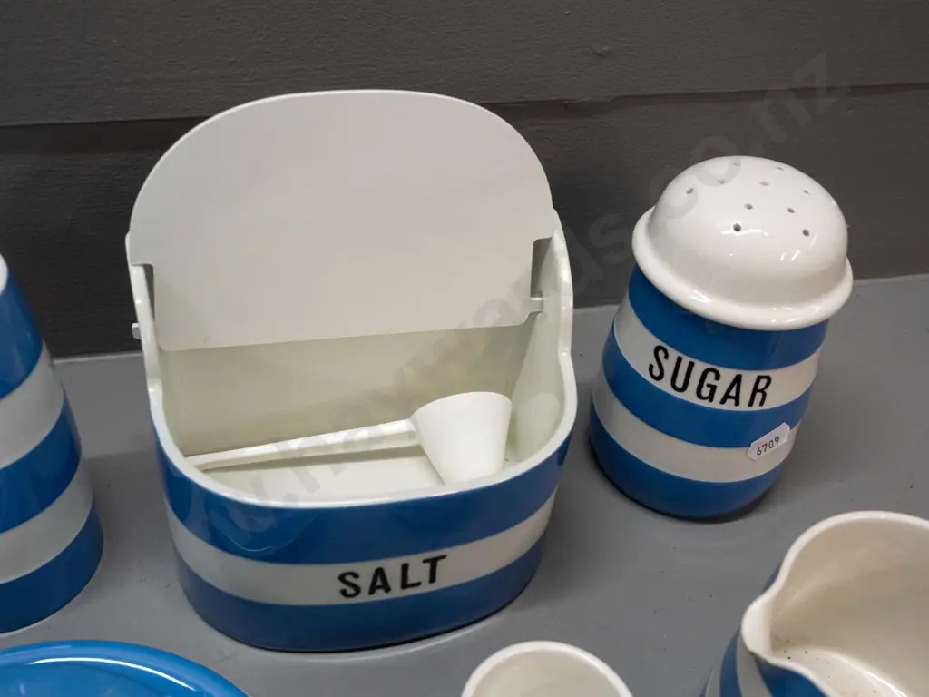 TG Greene blue & white Cornish kitchen ware items - wall mount salt, sugar caster, salt & pepper, lidded butter dish Image 1++