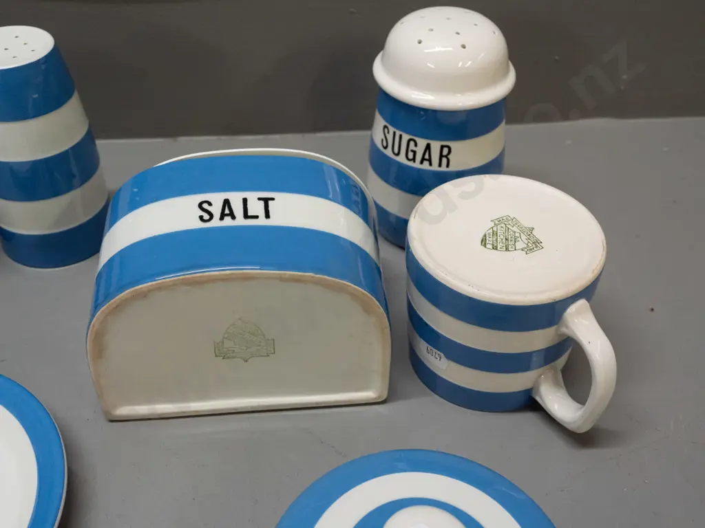TG Greene blue & white Cornish kitchen ware items - wall mount salt, sugar caster, salt & pepper, lidded butter dish Image 1++