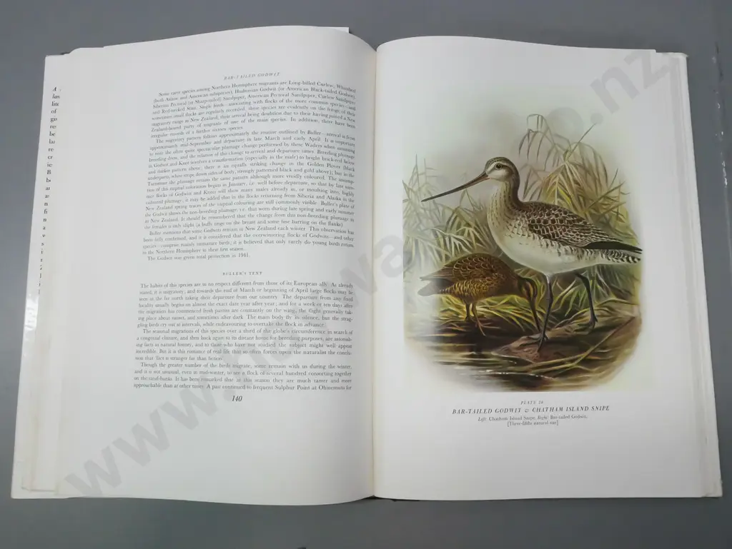 Bullers Birds of New Zealand (1967 printing, EG Turbott ed., Whitcombe & Tombs). Dustjacket delaminating & tears on Image 1++