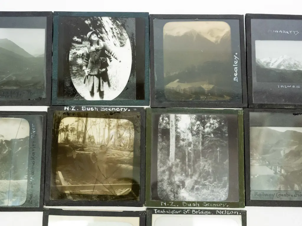 12 vintage glass lantern slides - south island locations, Nelson, Tasman, "Otiri", Bealey, bush scenes etc. Image 1++