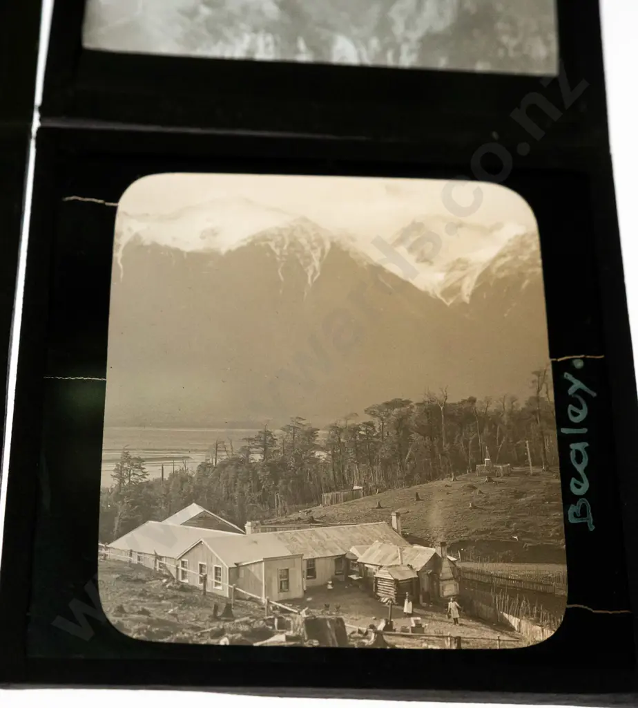 12 vintage glass lantern slides - south island locations, Nelson, Tasman, "Otiri", Bealey, bush scenes etc. Image 1++