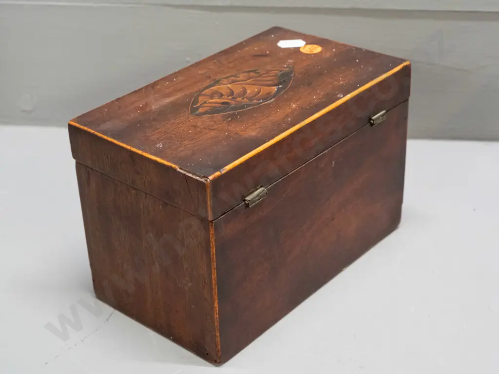 Late Georgian tea caddy with boxwood stringing and oval shell motif inlays, diamond shape bone escutcheon, lined and Image 1++