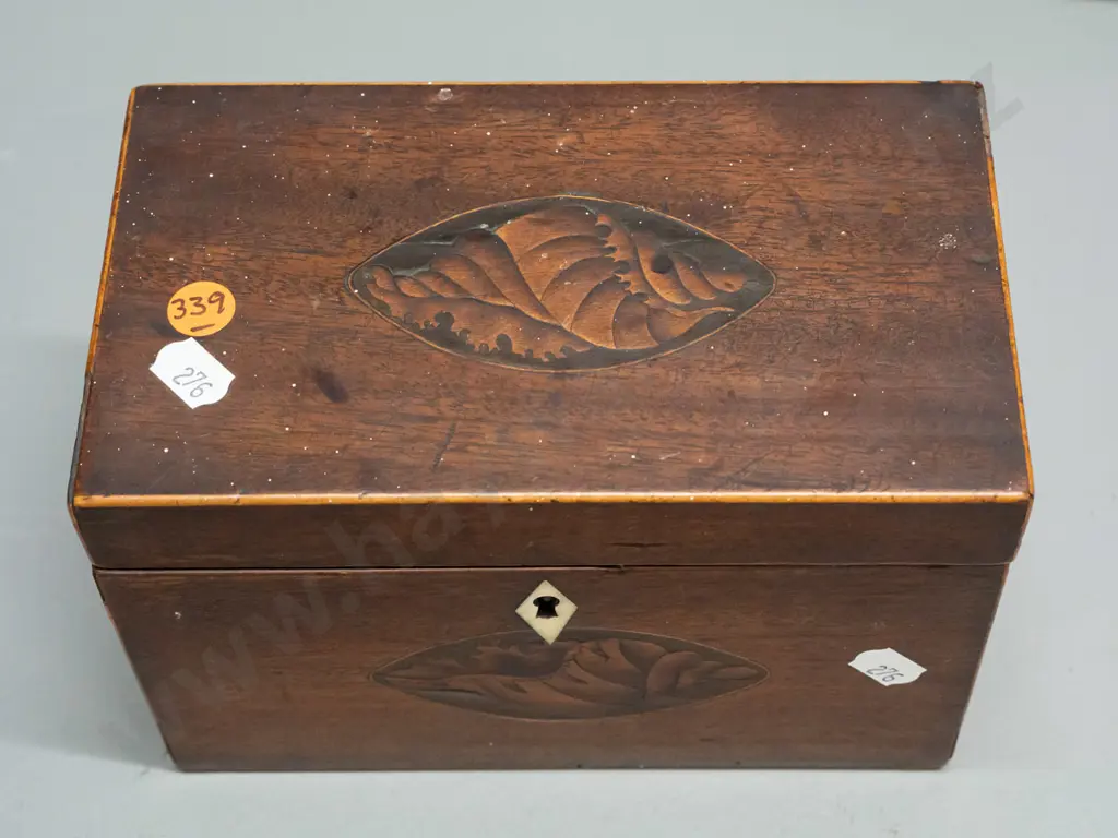 Late Georgian tea caddy with boxwood stringing and oval shell motif inlays, diamond shape bone escutcheon, lined and Image 1++