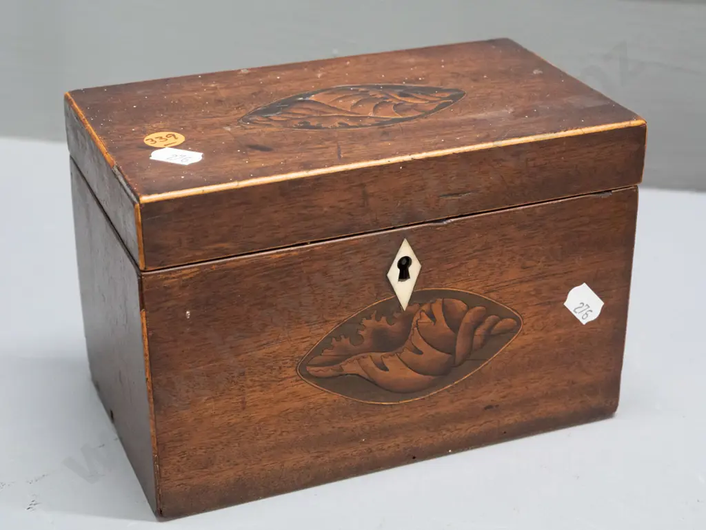 Late Georgian tea caddy with boxwood stringing and oval shell motif inlays, diamond shape bone escutcheon, lined and Image 1++