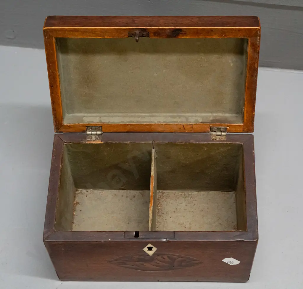 Late Georgian tea caddy with boxwood stringing and oval shell motif inlays, diamond shape bone escutcheon, lined and Image 1++