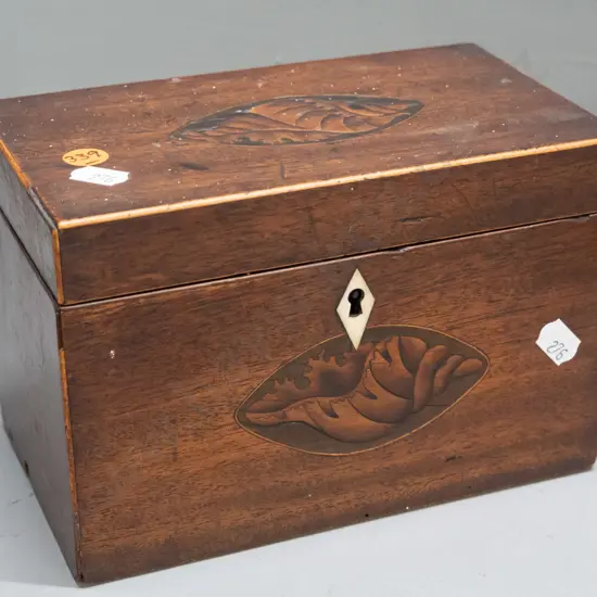 Late Georgian tea caddy with boxwood stringing and oval shell motif inlays, diamond shape bone escutcheon, lined and