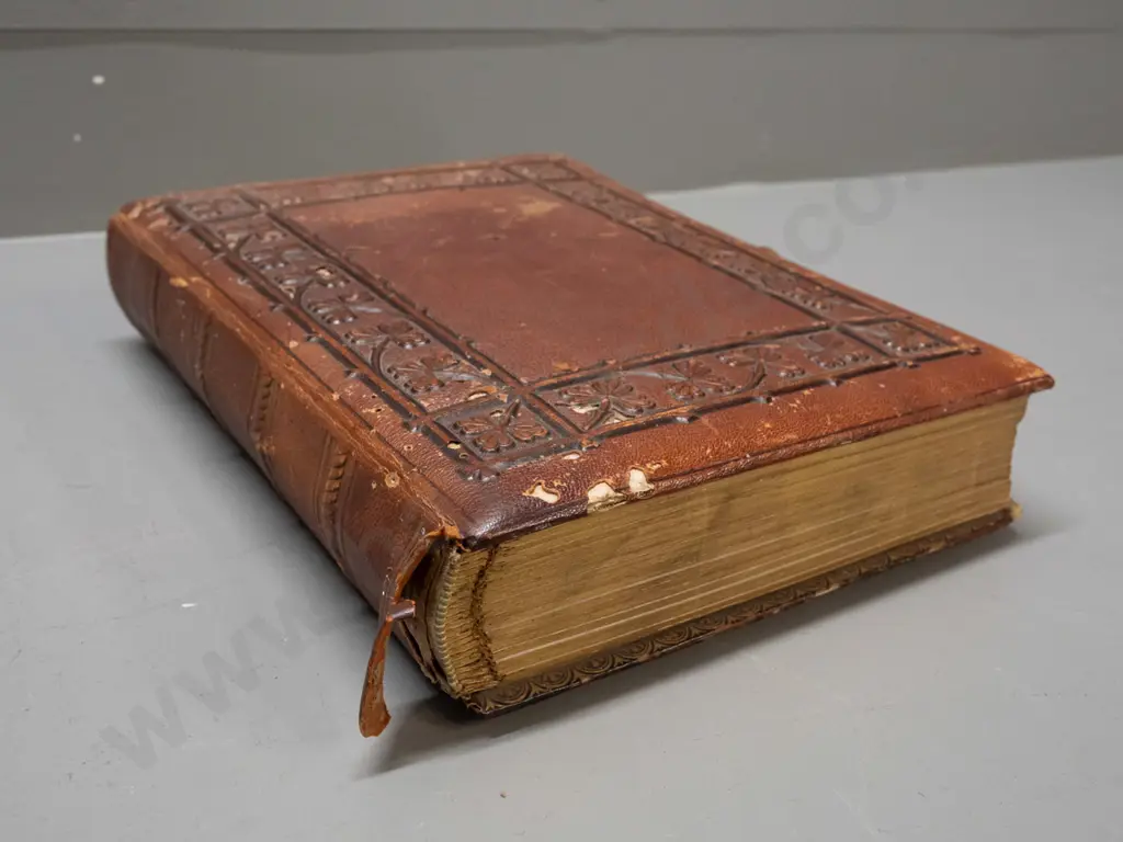 antique embossed leather photo album with brass fittings - New Zealand portrait contents, many from Tyree studio Nelson, Image 1++
