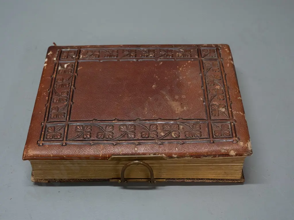 antique embossed leather photo album with brass fittings - New Zealand portrait contents, many from Tyree studio Nelson, Image 1++