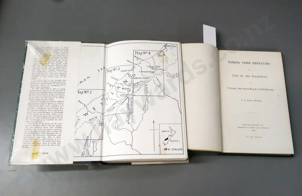 2x books: Banking Under Difficulties or Life on the Goldfields (George Preshaw 1888, Edward Dunlop & Co); Mr Explorer Image 1++