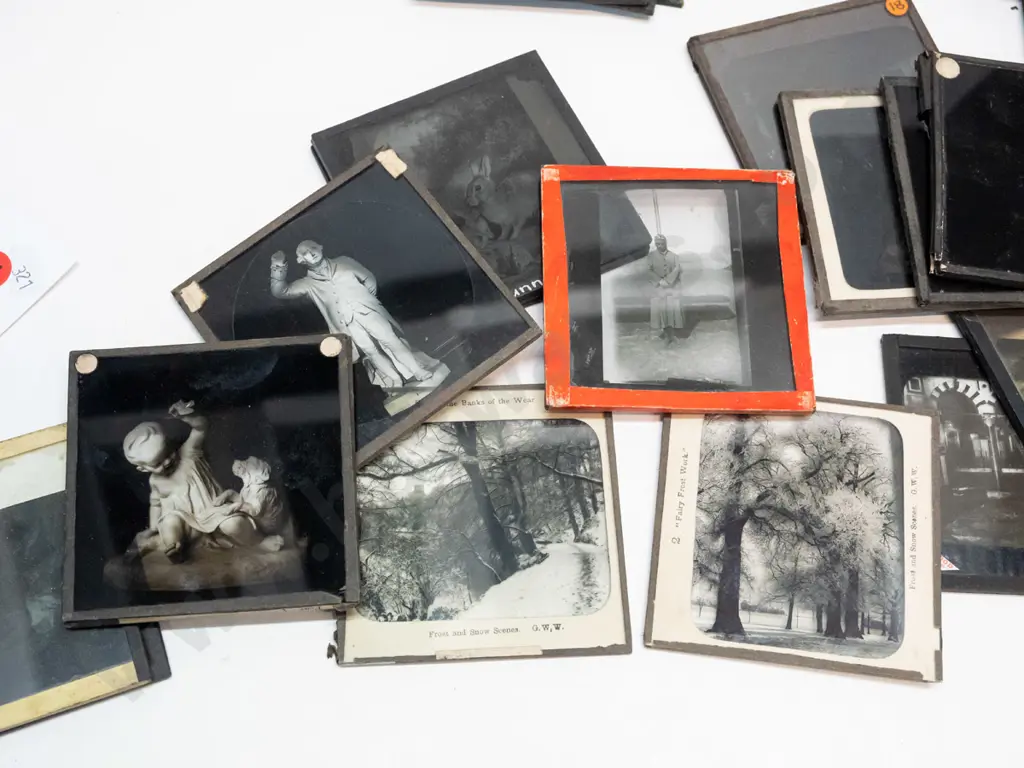 35 vintage glass lantern slides - assorted scenic views, animals, sculpture, royal portraits etc. Varying conditions, w/ Image 1++