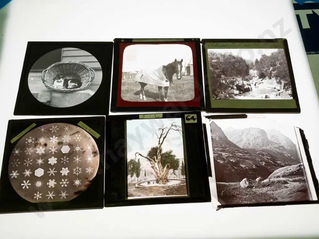 35 vintage glass lantern slides - assorted scenic views, animals, sculpture, royal portraits etc. Varying conditions, w/ Image 1++