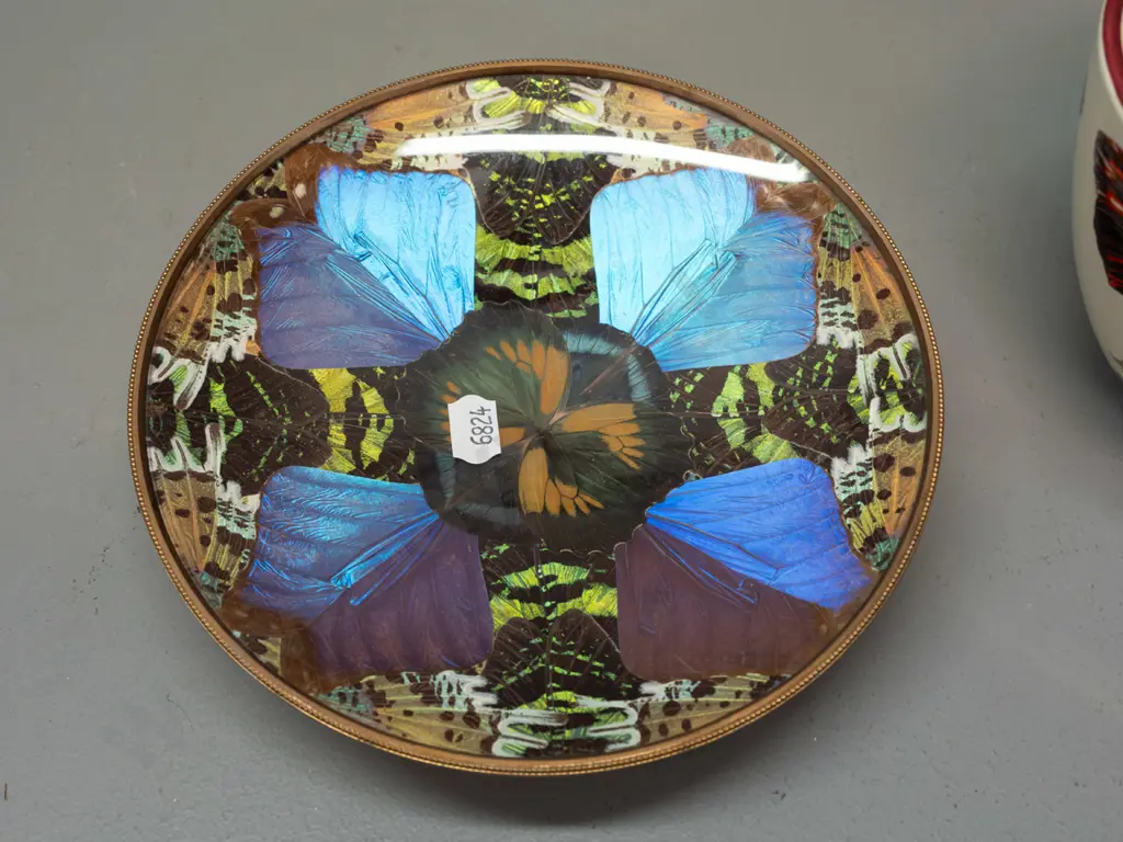 brass dish with iridescent butterfly wing decoration under plastic liner and an oval bowl or planter with berry and Image 1++