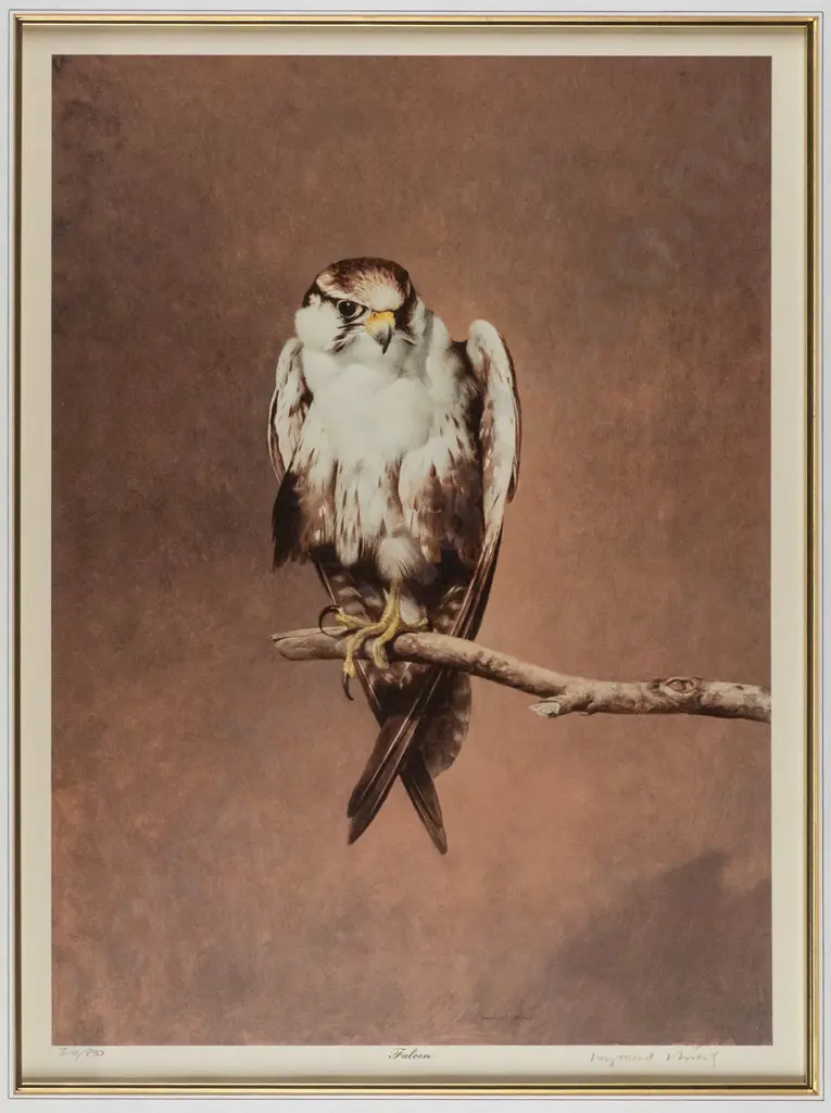 Raymond Ching -- framed limited edition print "Falcon" ed. 319/850 H-500 W-375 Image 1++