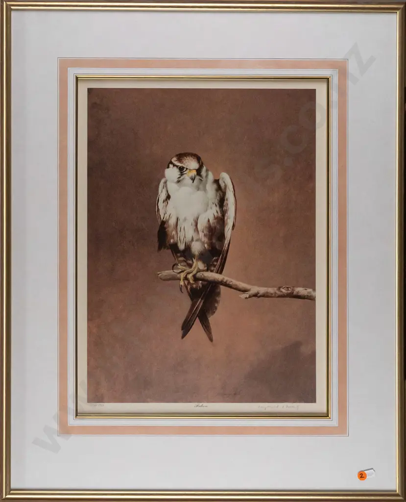 Raymond Ching -- framed limited edition print "Falcon" ed. 319/850 H-500 W-375 Image 1++