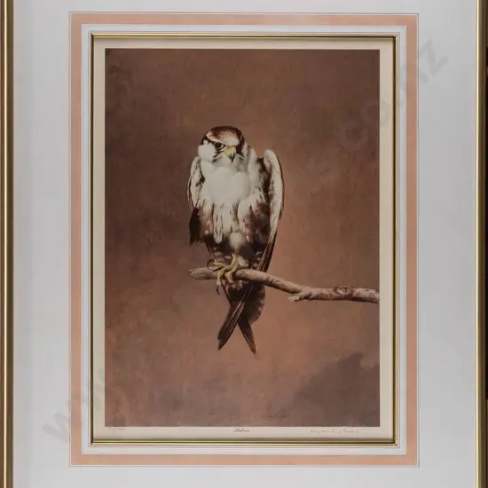 Raymond Ching -- framed limited edition print "Falcon" ed. 319/850 H-500 W-375