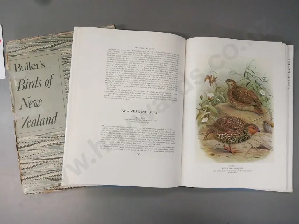 Bullers Birds of New Zealand in slipcase (EG Turbott ed., 1974 printing Whitcombe & Tombs). Light wear to dustjacket Image 1++