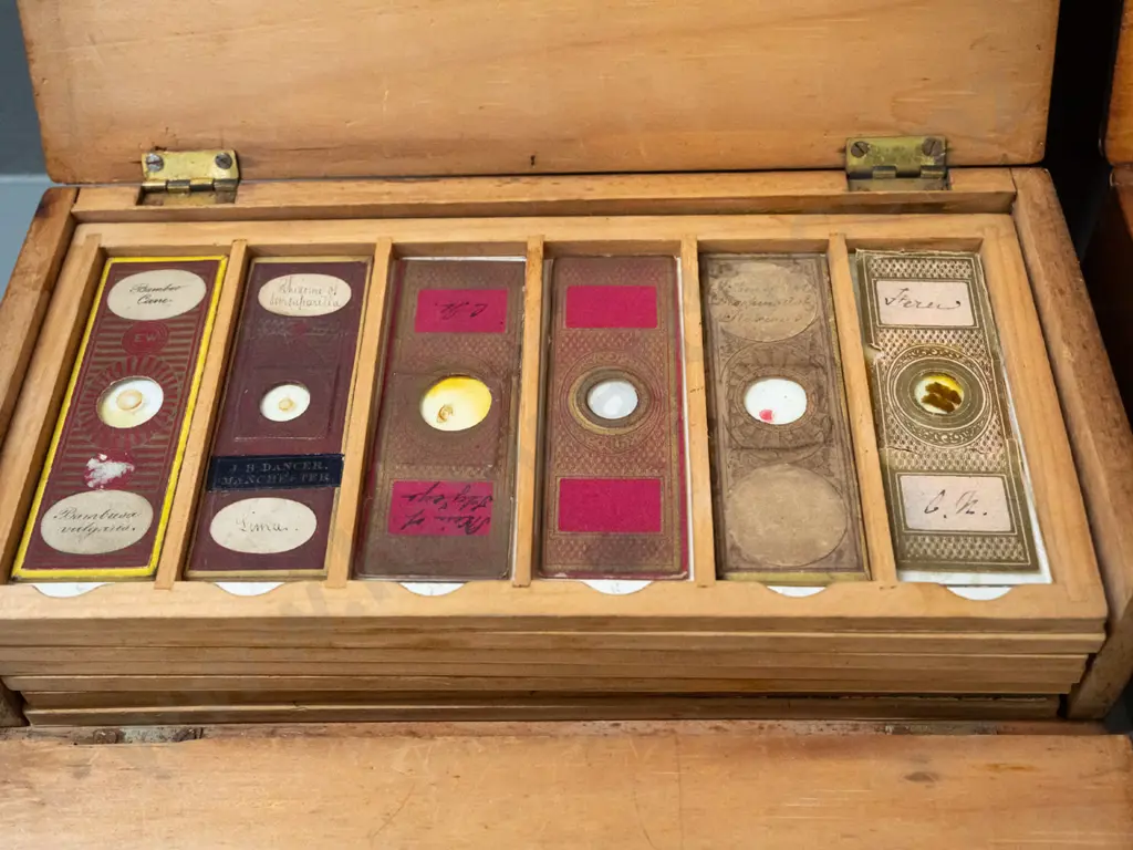 2 timber cased sets of microscope slide specimens - botanical samples, seeds and insects - one with 5 trays, one with 6, Image 1++
