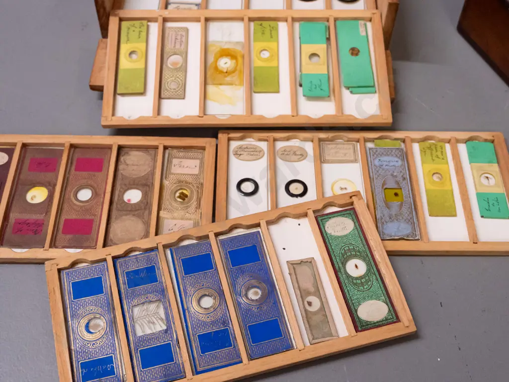 2 timber cased sets of microscope slide specimens - botanical samples, seeds and insects - one with 5 trays, one with 6, Image 1++
