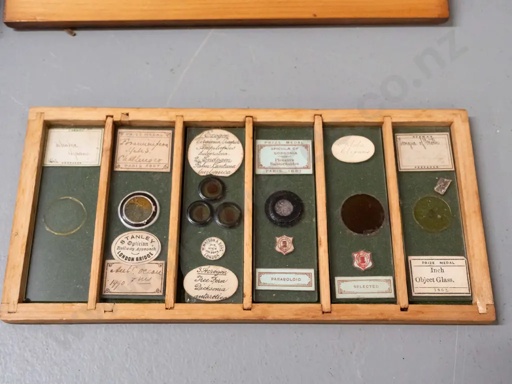 2 timber cased sets of microscope slide specimens - botanical samples, seeds and insects - one with 5 trays, one with 6, Image 1++