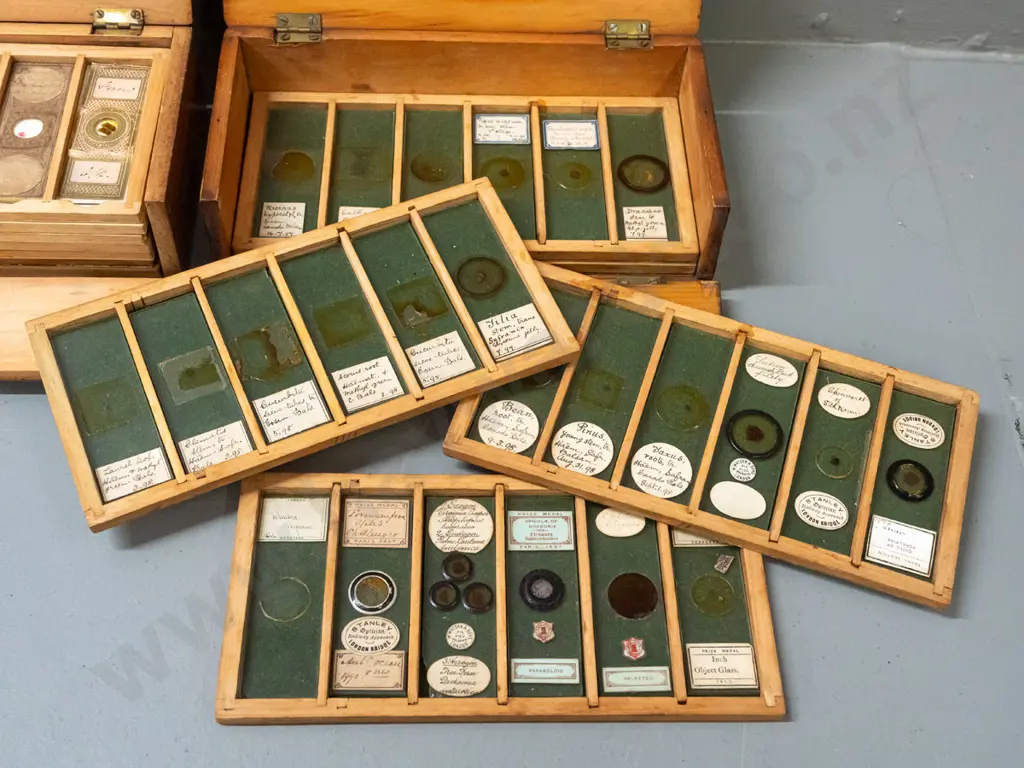 2 timber cased sets of microscope slide specimens - botanical samples, seeds and insects - one with 5 trays, one with 6, Image 1++