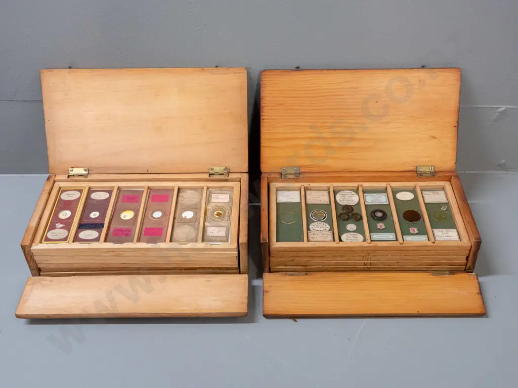 2 timber cased sets of microscope slide specimens - botanical samples, seeds and insects - one with 5 trays, one with 6, Image 1++