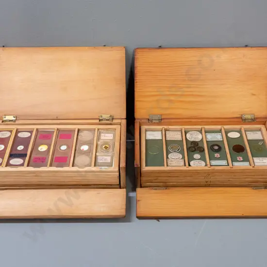2 timber cased sets of microscope slide specimens - botanical samples, seeds and insects - one with 5 trays, one with 6,
