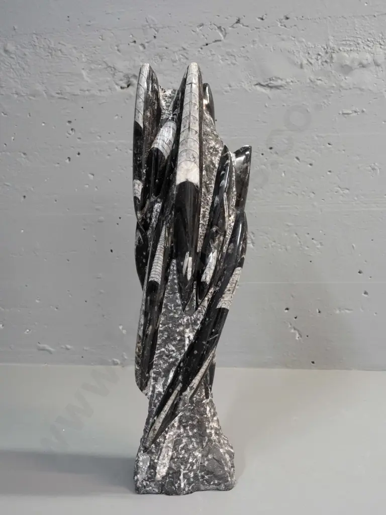 carved & polished Orthoceras fossil specimen H-510 W-130 at base Image 1++