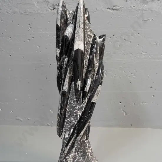 carved & polished Orthoceras fossil specimen H-510 W-130 at base
