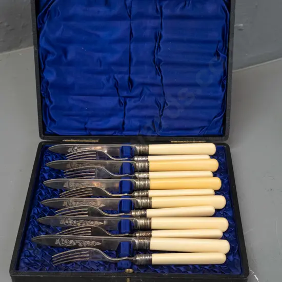 cased set of silver plated small bone handled knives and forks with etched patterned blades - some discolouration.