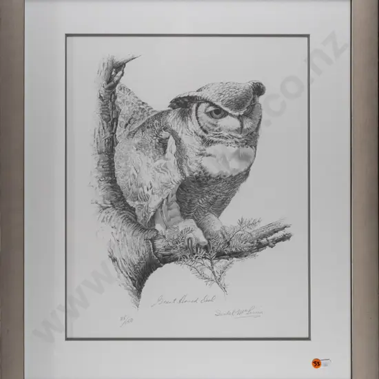 Isobel MacLaurin 1984 -- limited edition print "Great Horned Owl" ed. 35/150 H-455 W-365