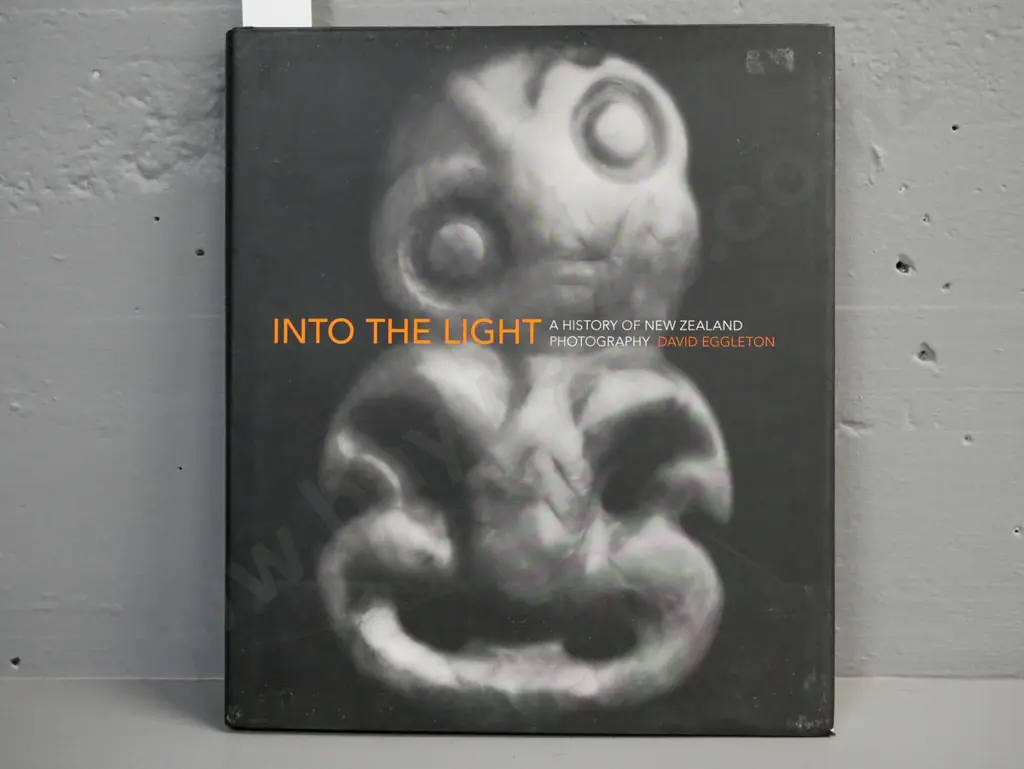 Into the Light: History of New Zealand Photography by David Eggleton, Craig Potton 2006. Light shelfwear to dustcover Image 1++