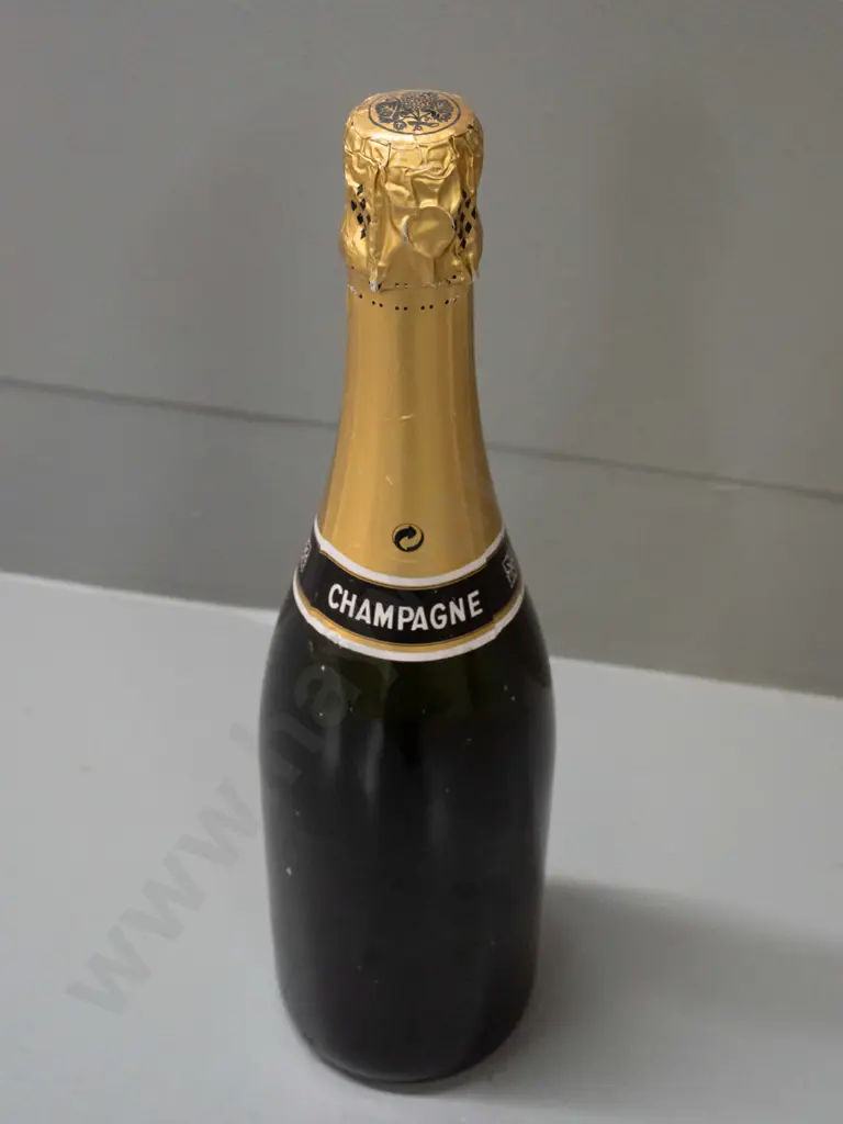 750ml bottle of Janisson-Baradon Epernay champagne - labelled "Data Sound" (special event or private label?) Image 1++