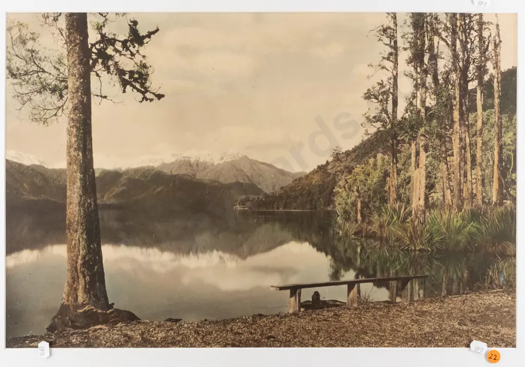 vintage hand coloured photograph - Lake Kaniere - some marks / scratches H-350 W-530 Image 1++